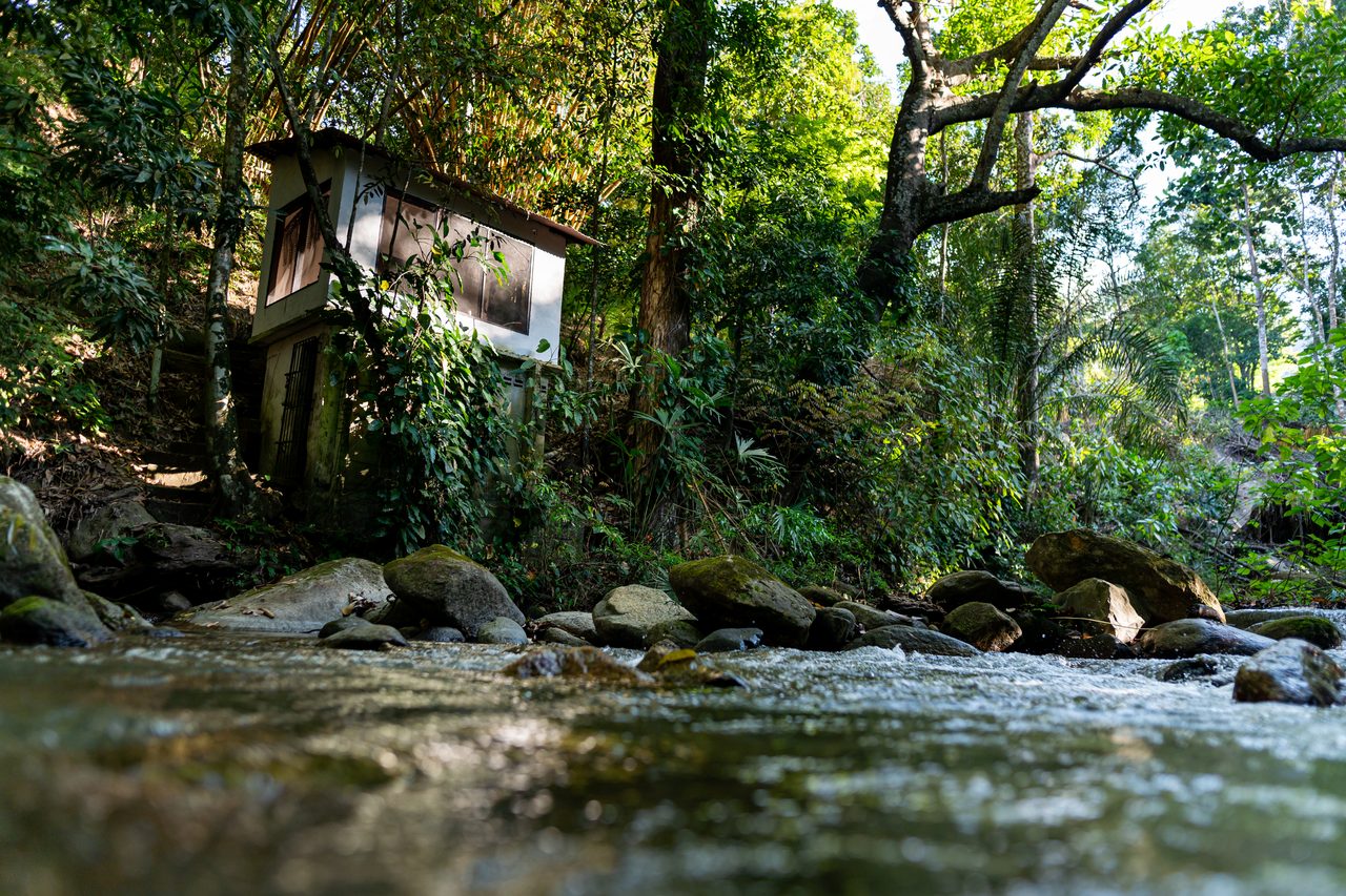 Caoba reserve river and jungle